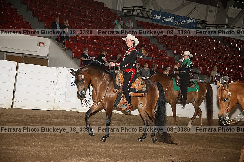 Proof buckeye_08_3380
