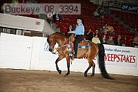 buckeye_08_3394 proof