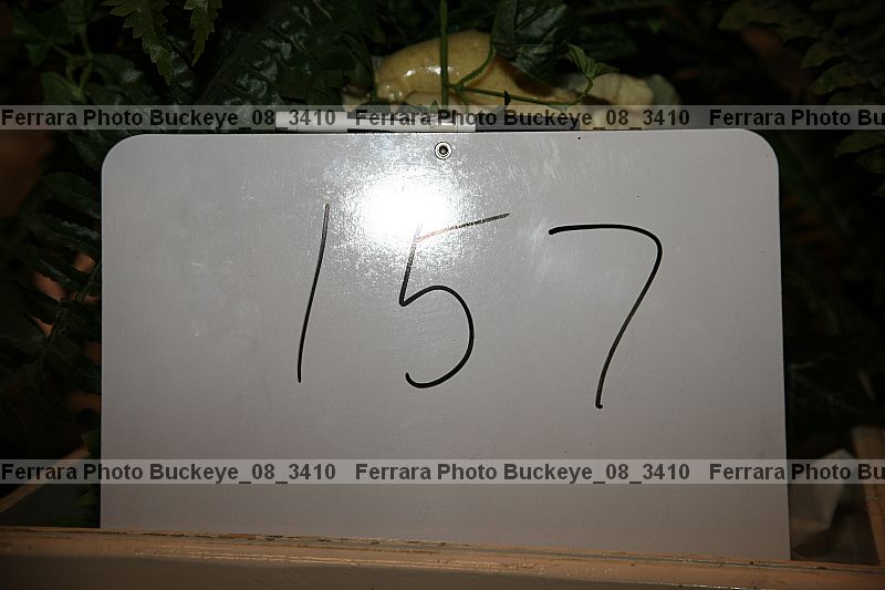 Proof buckeye_08_3410