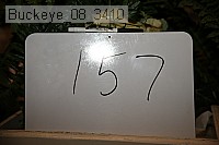 buckeye_08_3410 proof