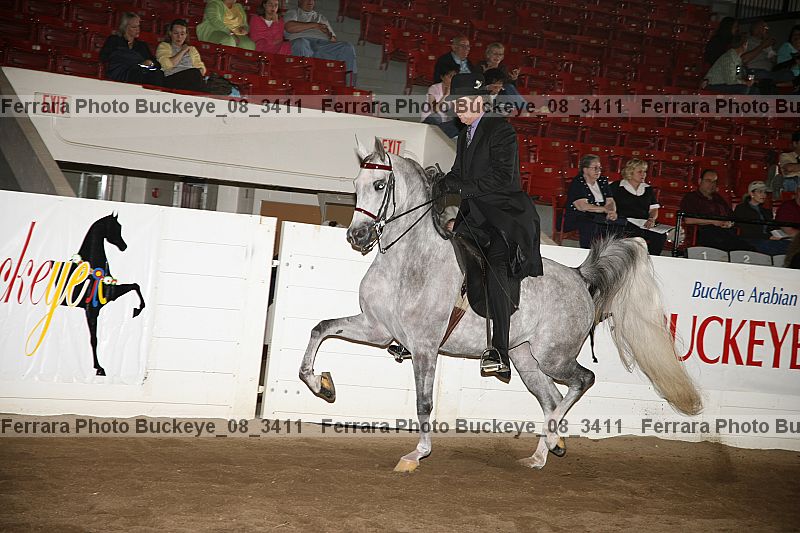 Proof buckeye_08_3411