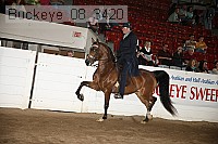 buckeye_08_3420 proof