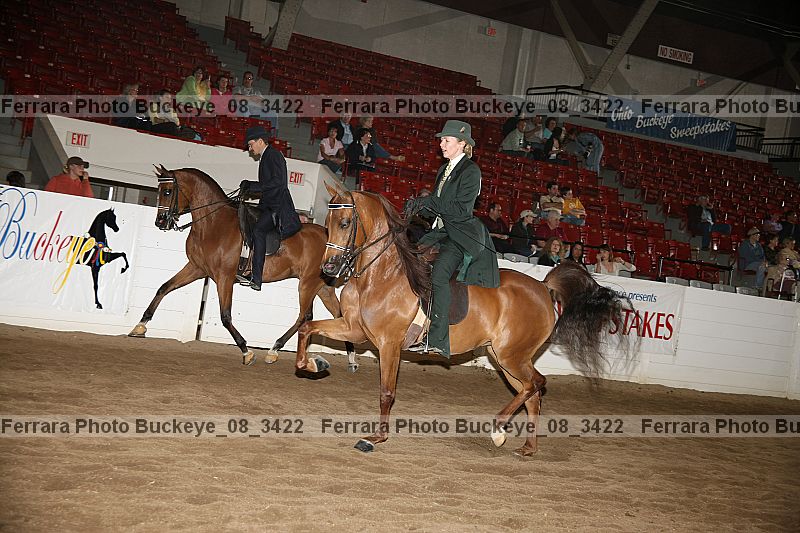 Proof buckeye_08_3422