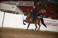 buckeye_08_3425 proof