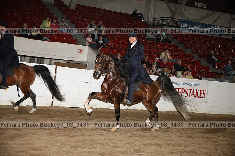 Proof buckeye_08_3431