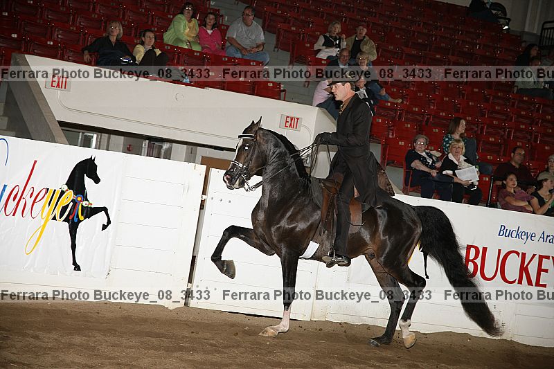 Proof buckeye_08_3433