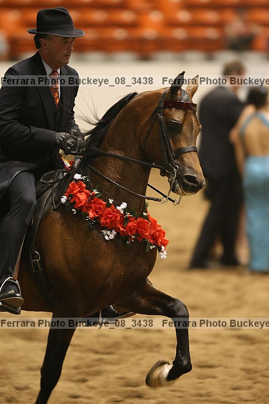 Proof buckeye_08_3438