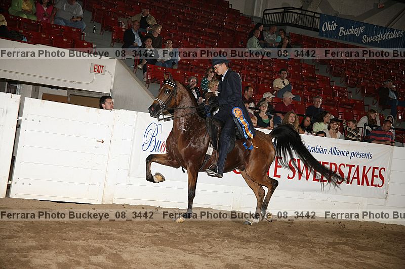 Proof buckeye_08_3442