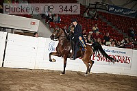 buckeye_08_3442 proof