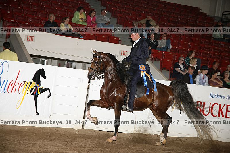 Proof buckeye_08_3447
