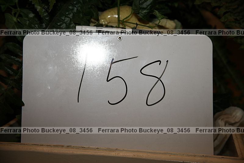 Proof buckeye_08_3456