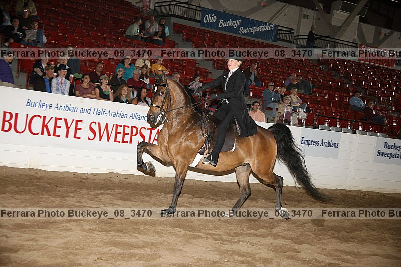 Proof buckeye_08_3470
