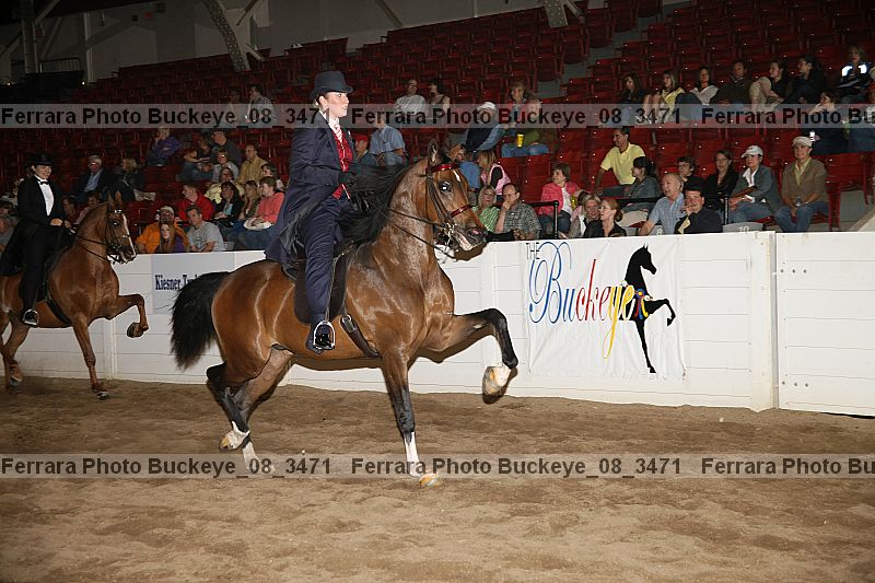 Proof buckeye_08_3471