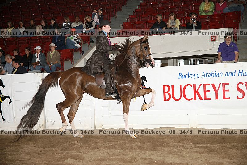 Proof buckeye_08_3476