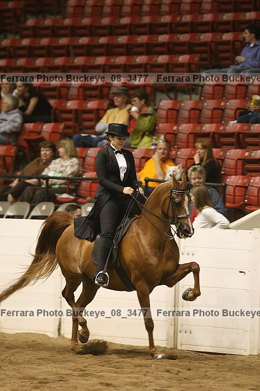 Proof buckeye_08_3477