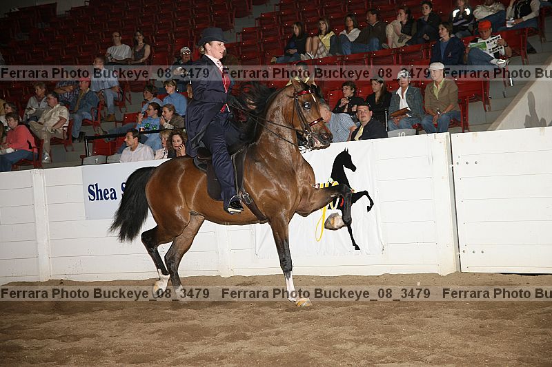 Proof buckeye_08_3479