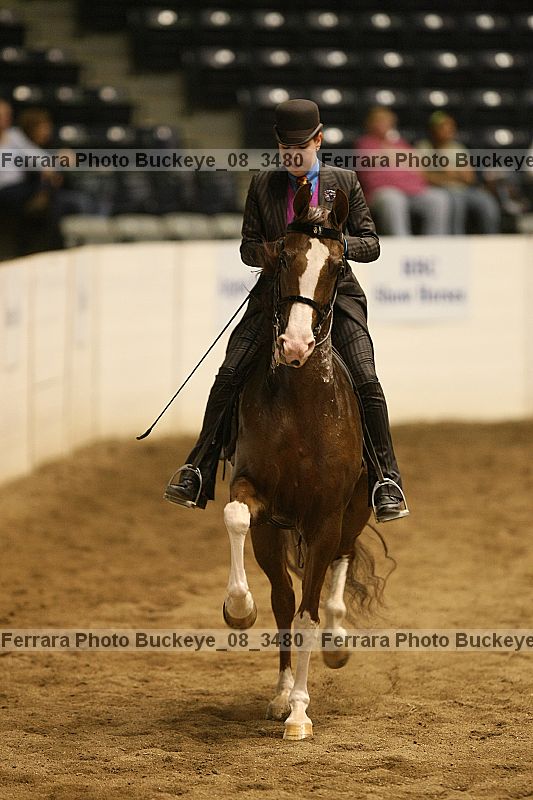 Proof buckeye_08_3480