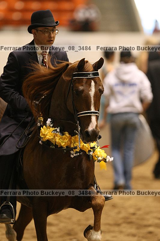 Proof buckeye_08_3484