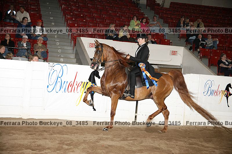 Proof buckeye_08_3485