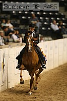 buckeye_08_3486 proof