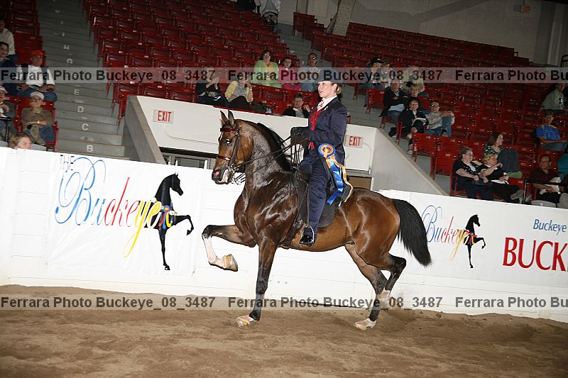 Proof buckeye_08_3487