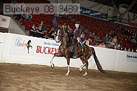 buckeye_08_3489 proof