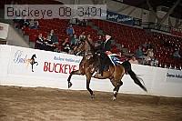 buckeye_08_3491 proof