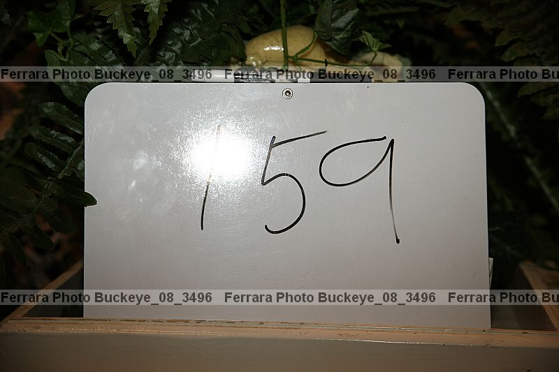 Proof buckeye_08_3496