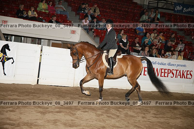 Proof buckeye_08_3497