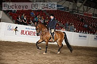 buckeye_08_3498 proof