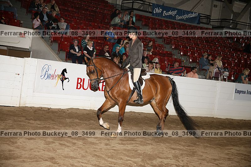 Proof buckeye_08_3499