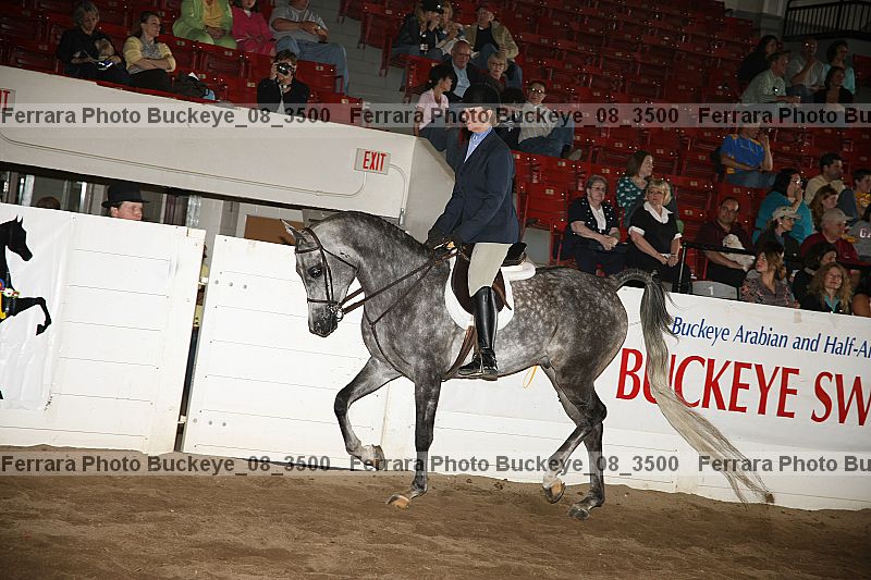 Proof buckeye_08_3500