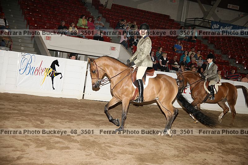 Proof buckeye_08_3501