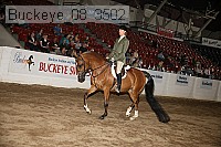 buckeye_08_3502 proof