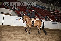 buckeye_08_3503 proof