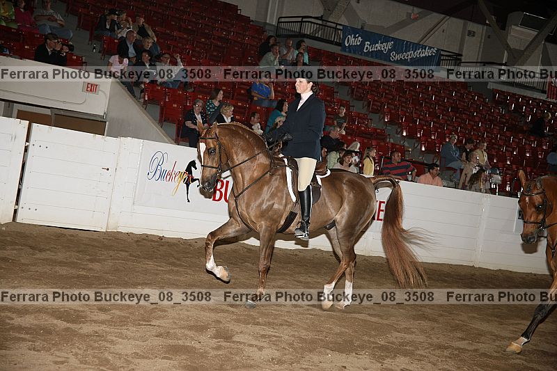 Proof buckeye_08_3508
