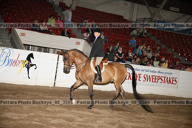 Proof buckeye_08_3509
