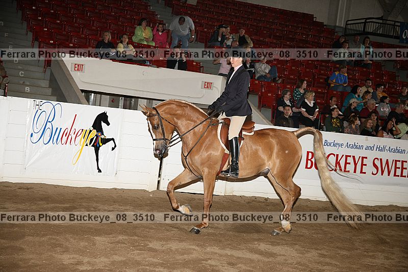Proof buckeye_08_3510