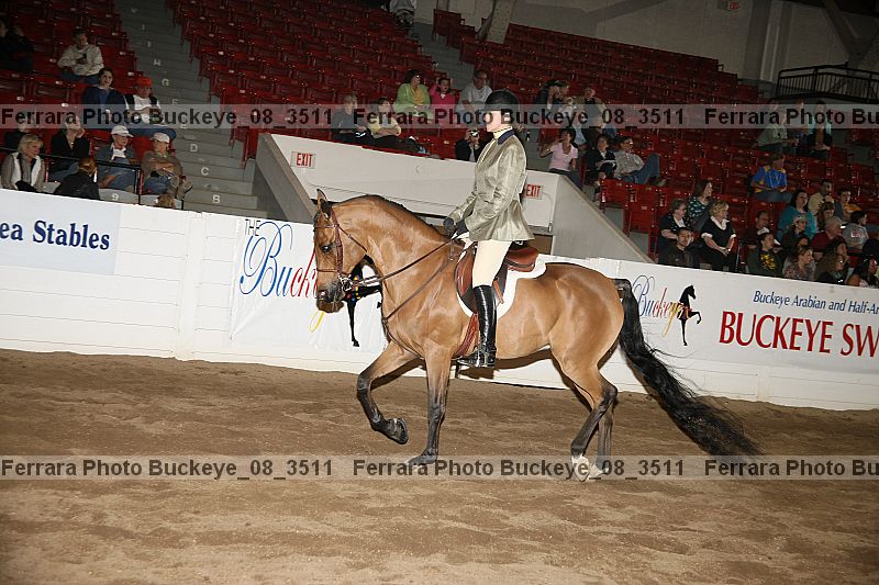 Proof buckeye_08_3511