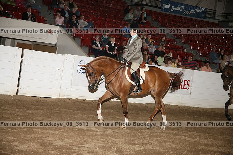 Proof buckeye_08_3513