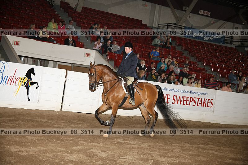 Proof buckeye_08_3514