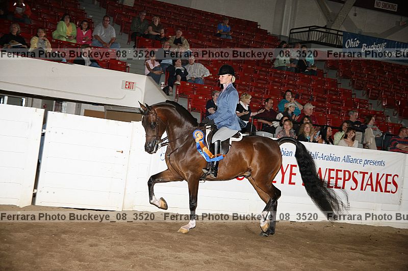 Proof buckeye_08_3520