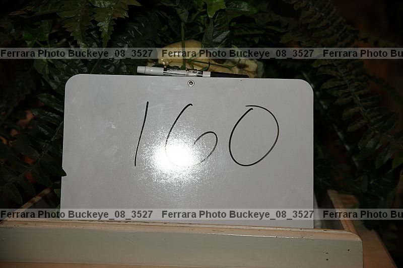 Proof buckeye_08_3527