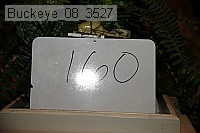 buckeye_08_3527 proof