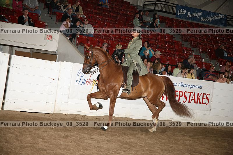 Proof buckeye_08_3529