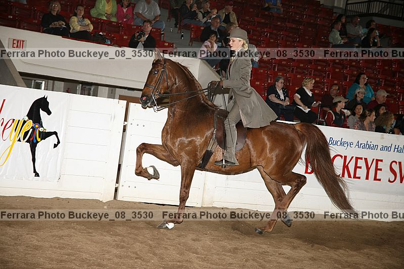 Proof buckeye_08_3530