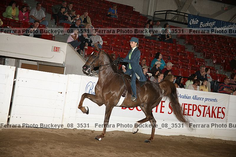 Proof buckeye_08_3531