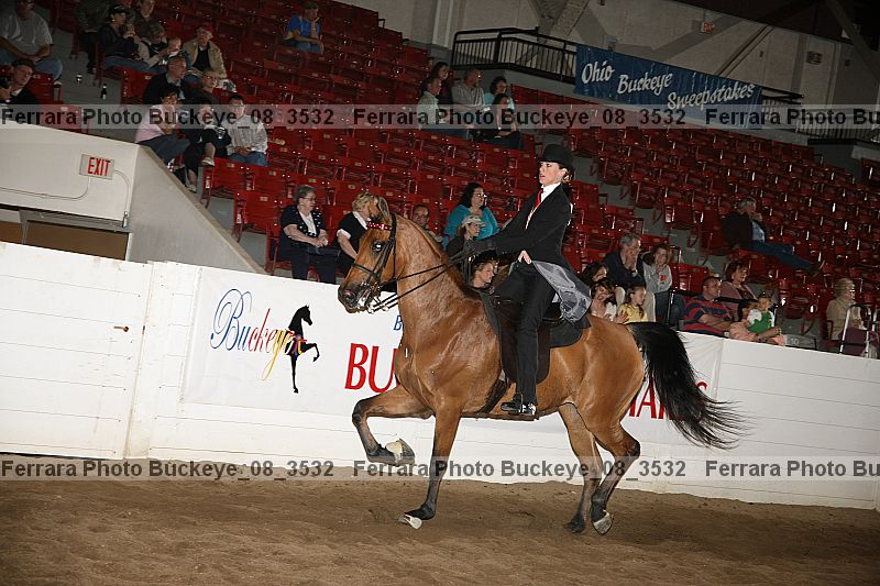 Proof buckeye_08_3532