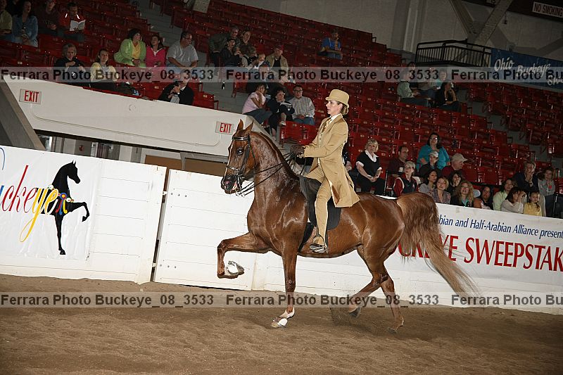 Proof buckeye_08_3533