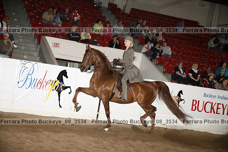 Proof buckeye_08_3534